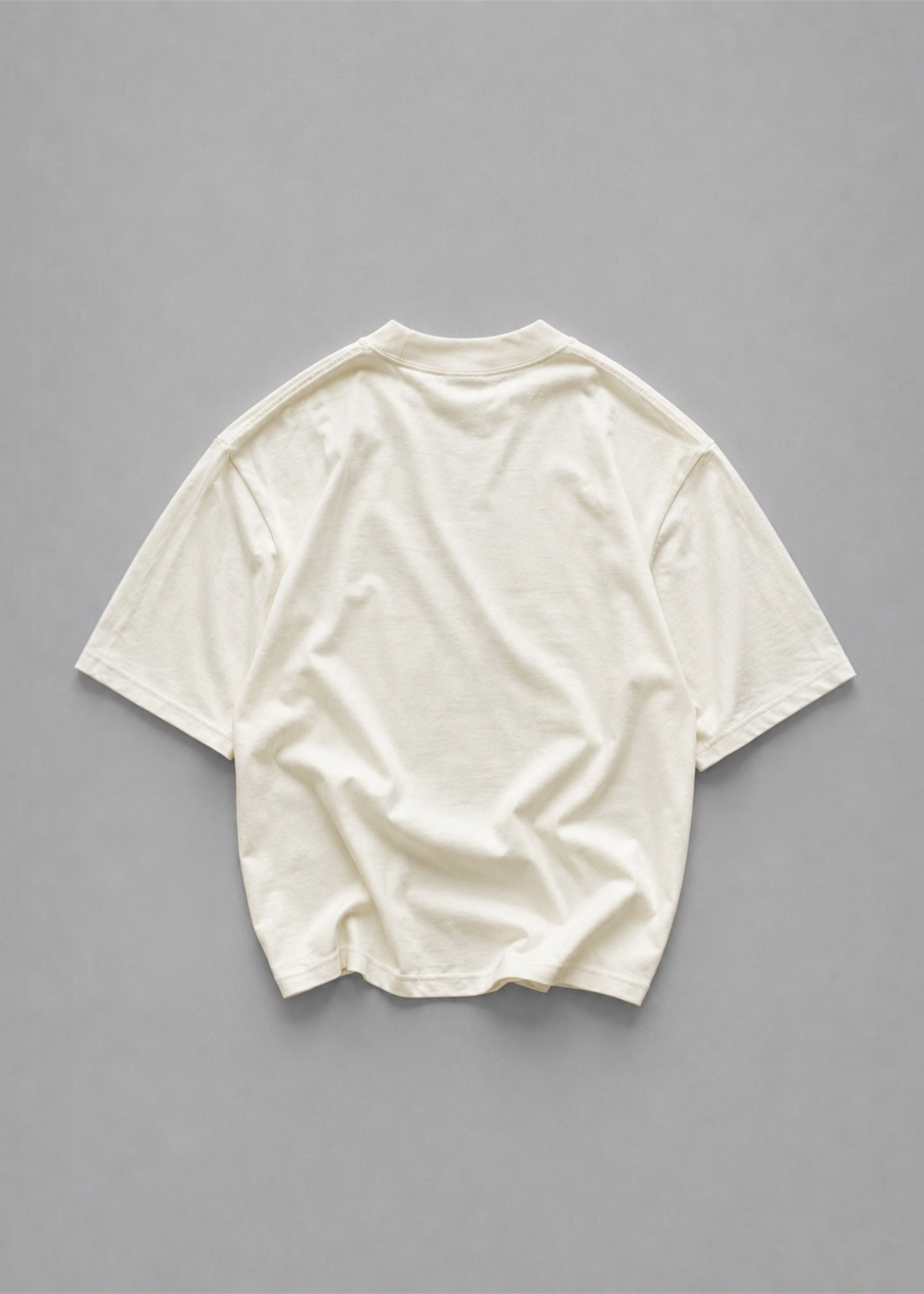 THE WARRIOR SOUL T-SHIRT