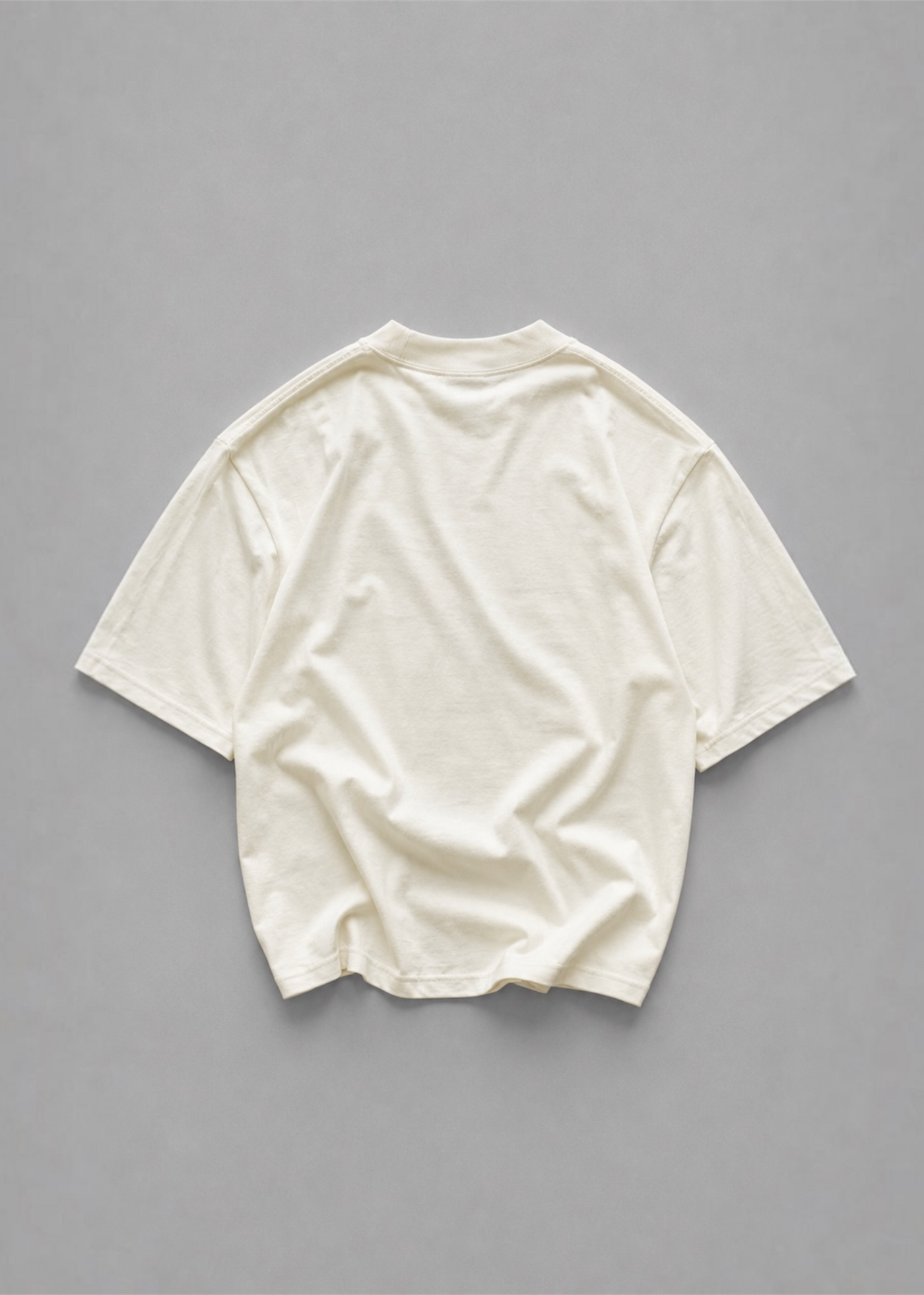 THE WARRIOR SOUL T-SHIRT